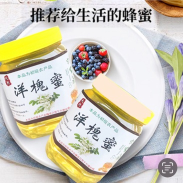 洋槐蜂蜜***洋槐蜜正宗蜂蜜秦岭深山蜂蜜