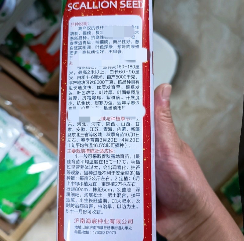 双抗铁杆王大葱种子高白抗病抗倒伏大葱种子