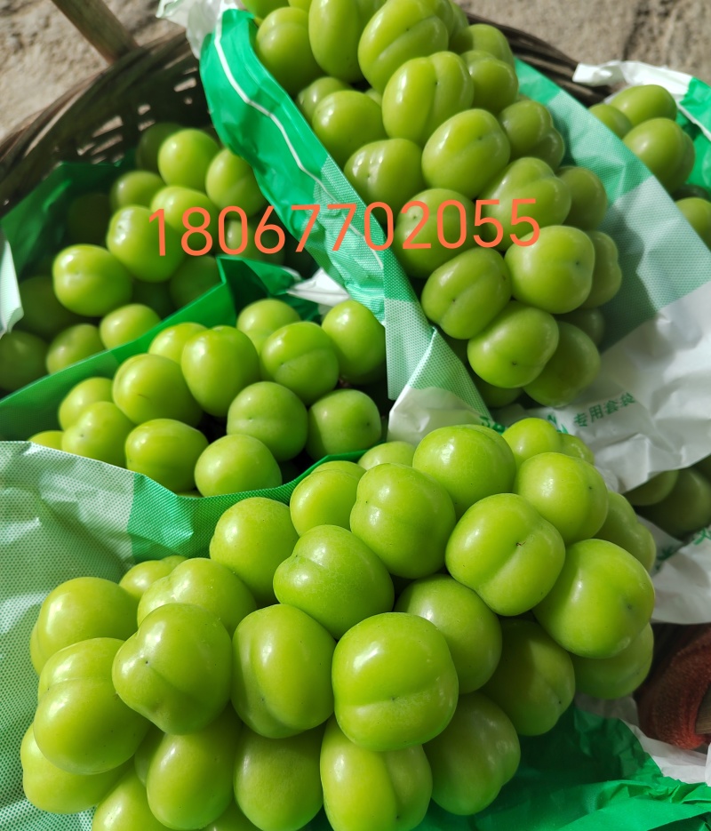 阳光玫瑰葡萄大量上市中