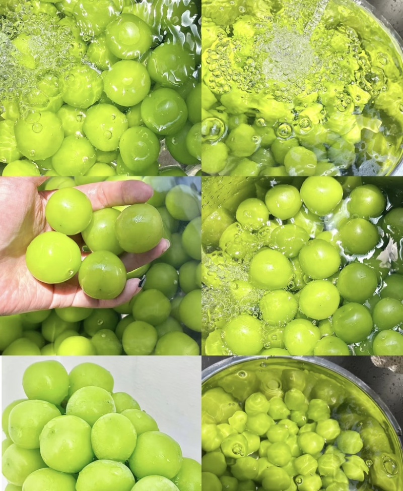 桂林兴安阳光玫瑰
