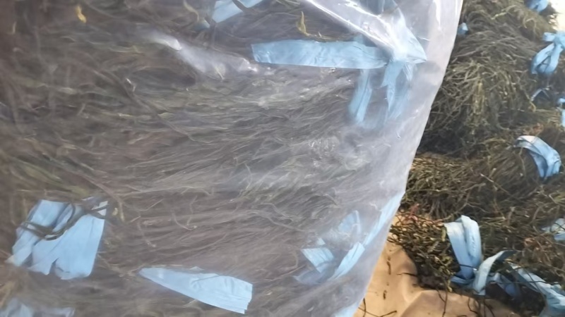 山东菏泽脱水干豆角产地一手货源对接全国批发零售☎️联系
