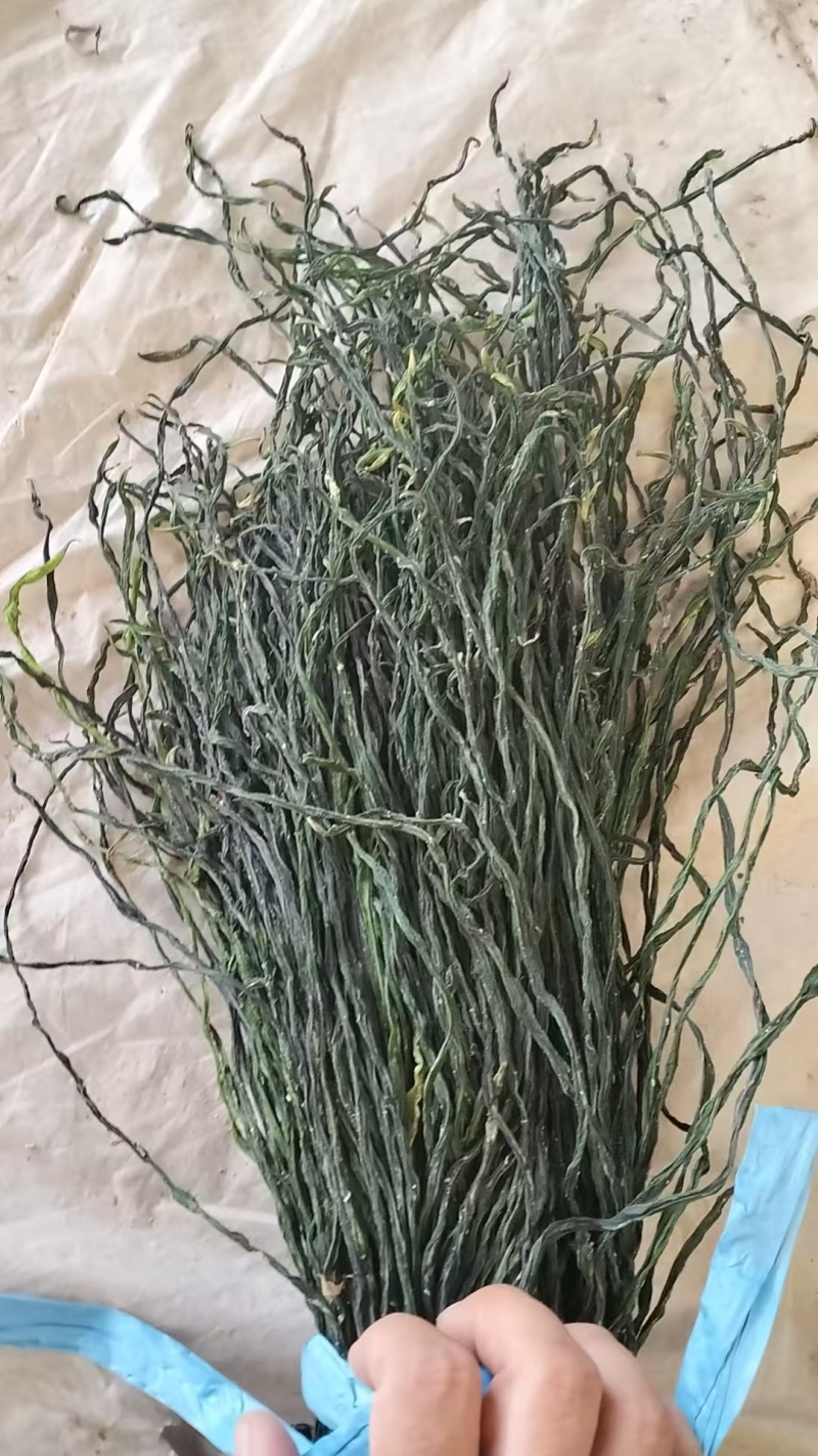 山东菏泽脱水干豆角产地一手货源对接全国批发零售☎️联系