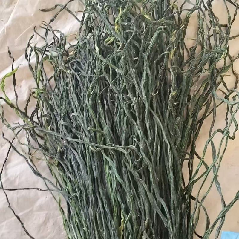 山东菏泽脱水干豆角产地一手货源对接全国批发零售☎️联系
