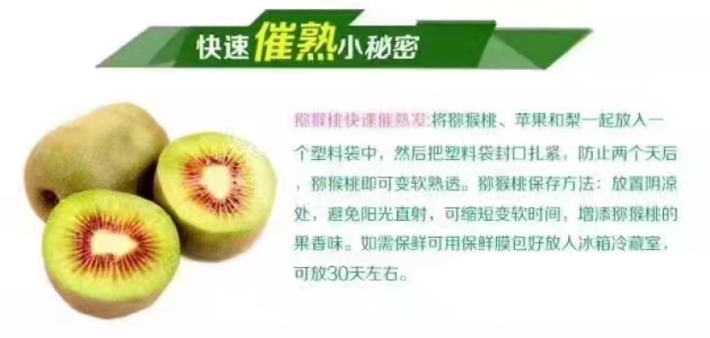 贵州猴场红心猕猴桃