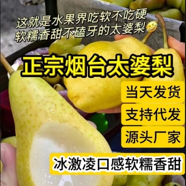 源头厂家代发烟台太婆梨硬软两吃对接电商各平台直播带货