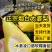 源头厂家代发烟台太婆梨硬软两吃对接电商各平台直播带货