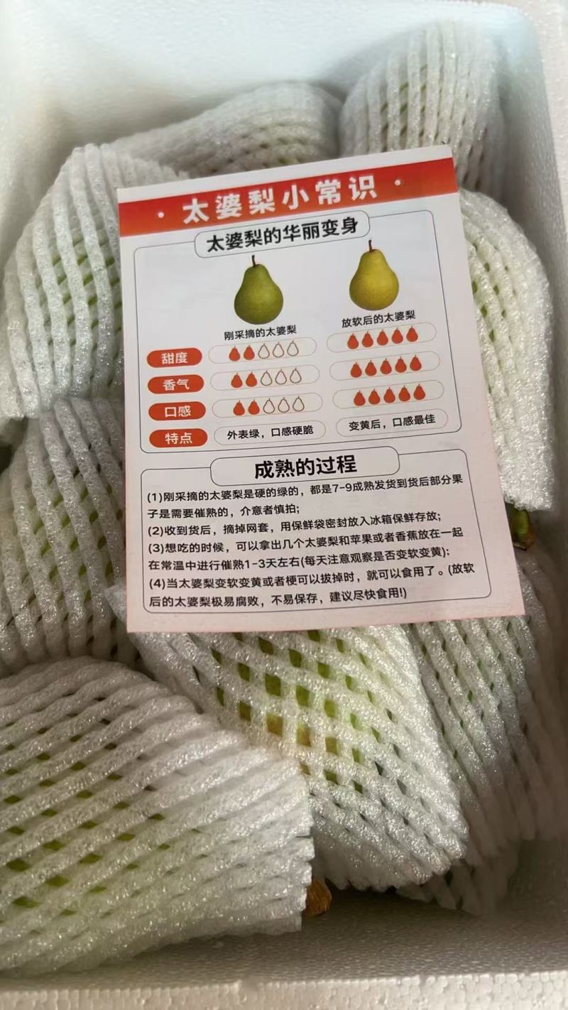 源头厂家代发烟台太婆梨硬软两吃对接电商各平台直播带货