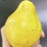 源头厂家代发烟台太婆梨硬软两吃对接电商各平台直播带货