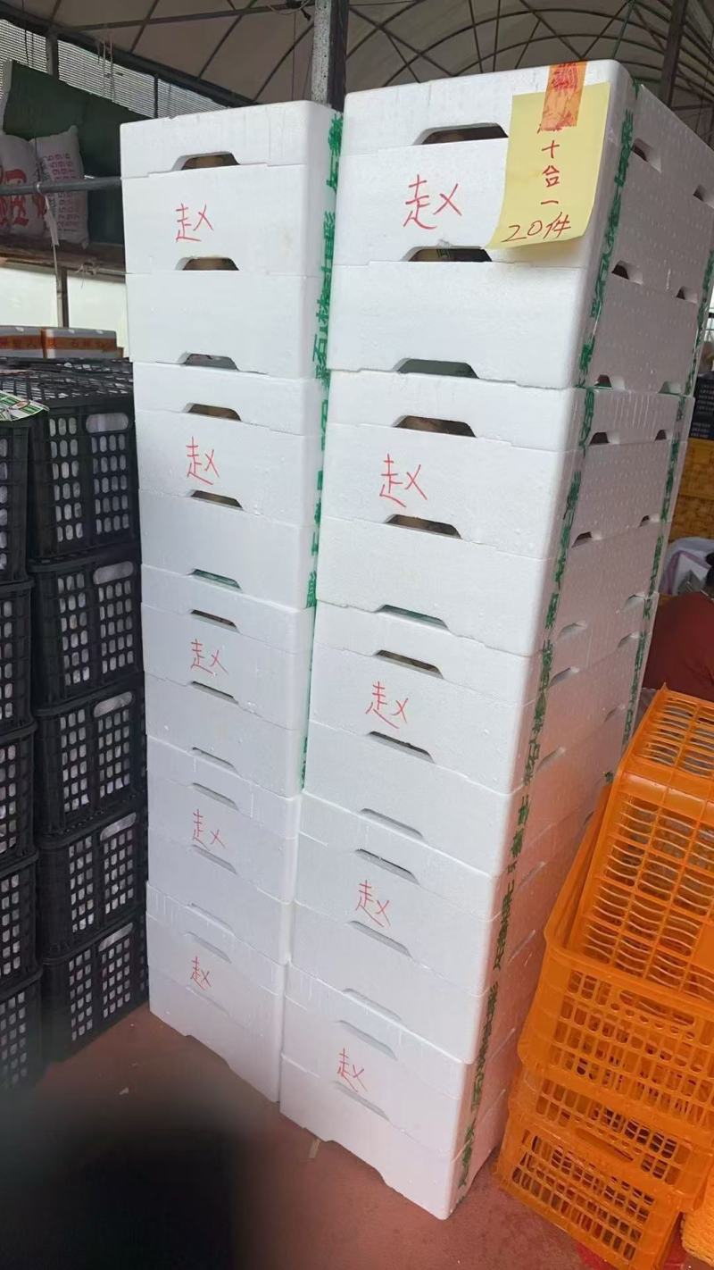 【云南石林人参果】产地直发，现摘现发，一手货源，无中间商