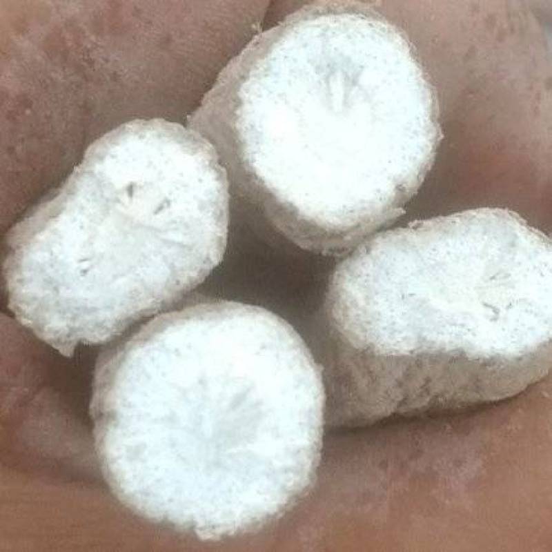 川白芷干货