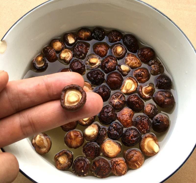 河南南阳西峡县香菇金钱小香菇仔