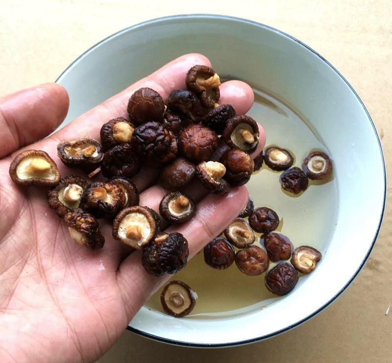 河南南阳西峡县香菇金钱小香菇仔