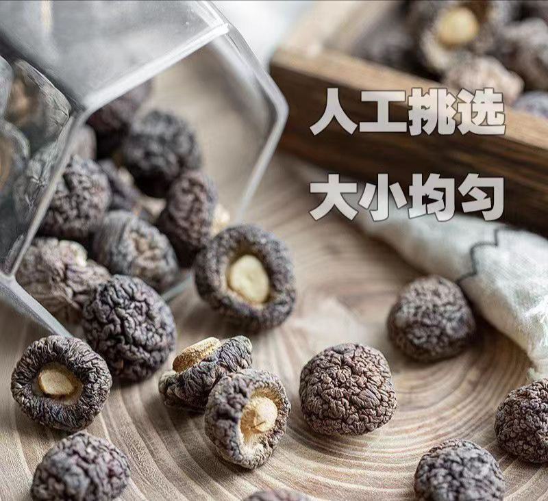 河南南阳西峡县香菇金钱小香菇仔