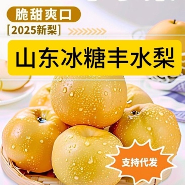 【电商代发】山东冰糖丰水梨脆甜多汁现摘现发当天发货源头厂
