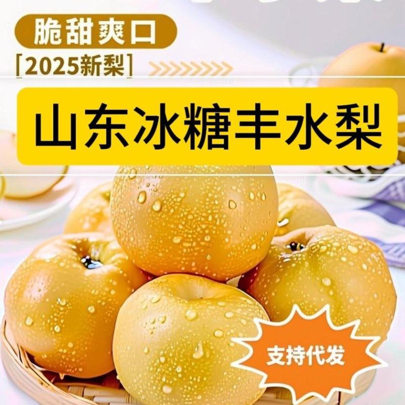 【电商代发】山东冰糖丰水梨脆甜多汁现摘现发当天发货源头厂