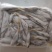 东北溪流白鱼马口