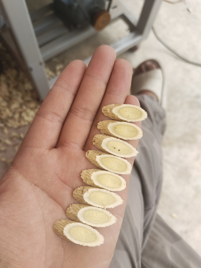 黄芪切片