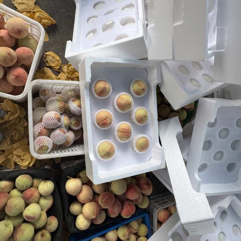 小蜜露水蜜桃糖度很高批发价2.8一斤