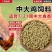 中大鸡鸭鹅饲料