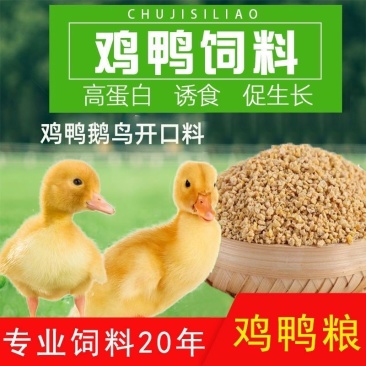 小鸡饲料芦丁鸡鸽子幼年鸡鸭鹅全价配合饲料高蛋白饲料
