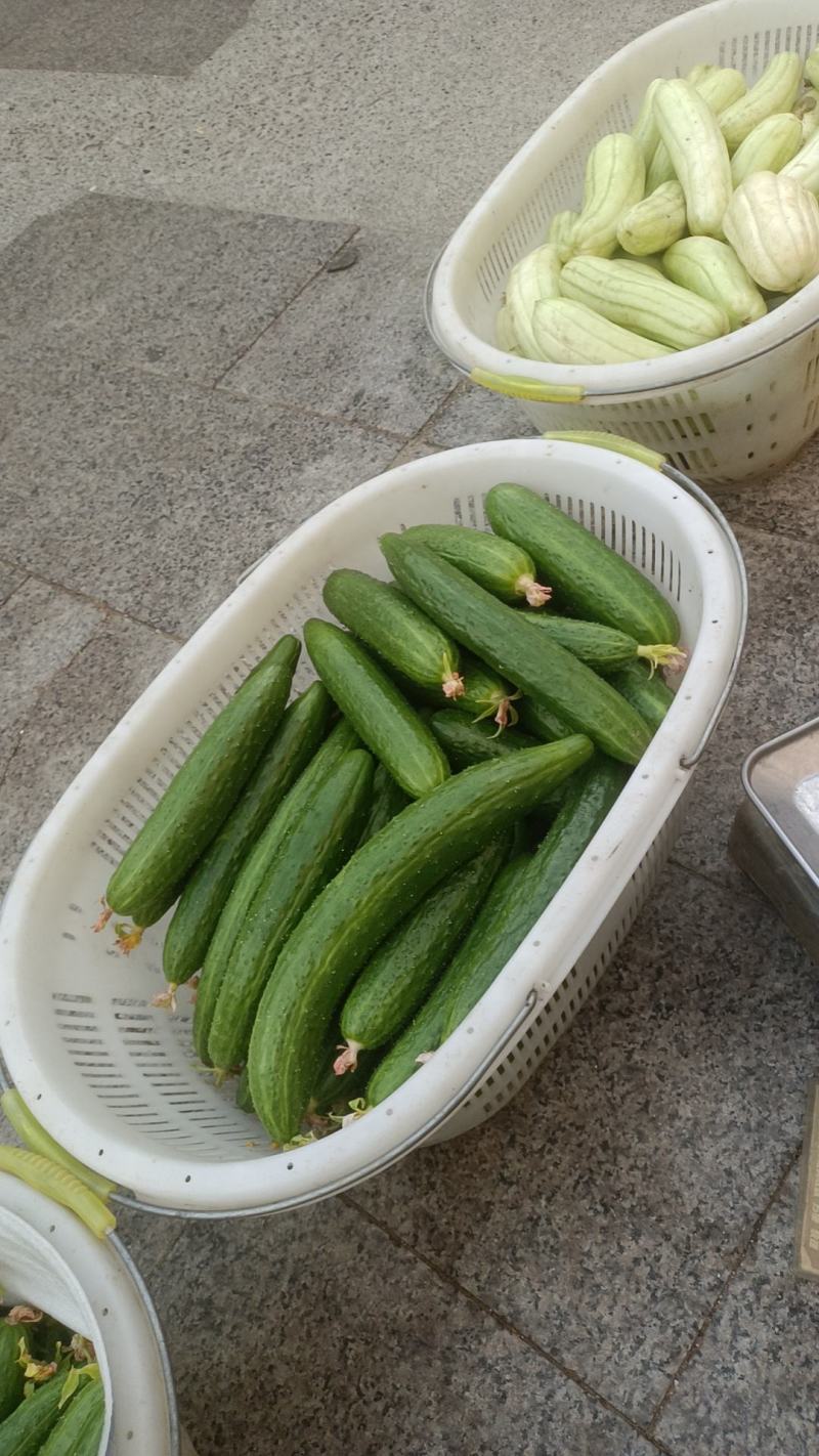 水果黄瓜