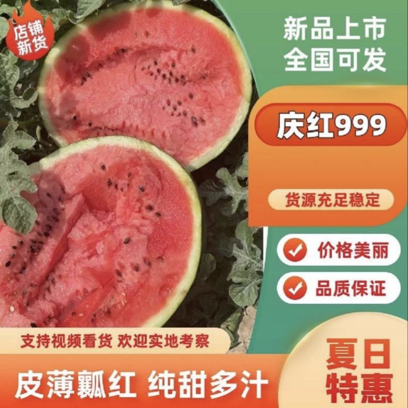 吉林西瓜地雷瓜/庆红999/大量供应产地一手货产地