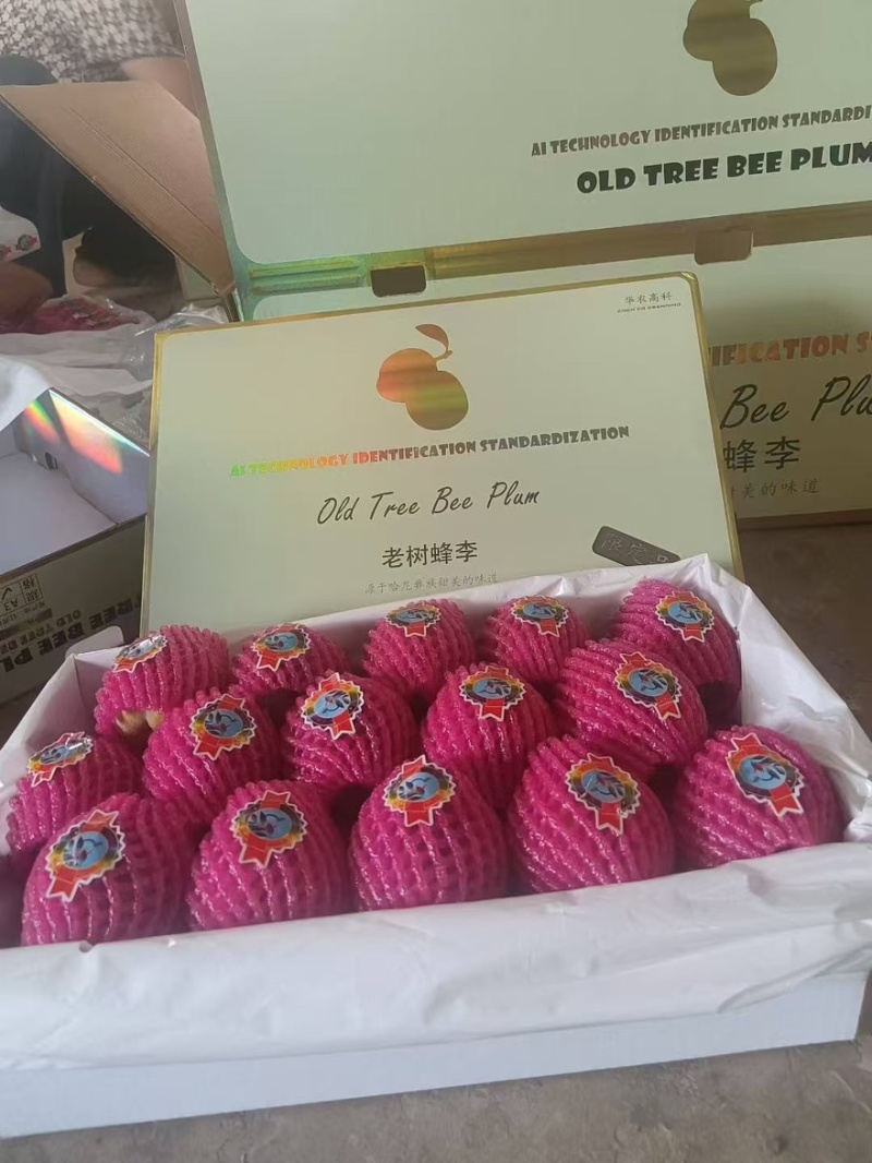 现摘现发的黄金耐李，让你尝到最新鲜的美味，有需求的联系