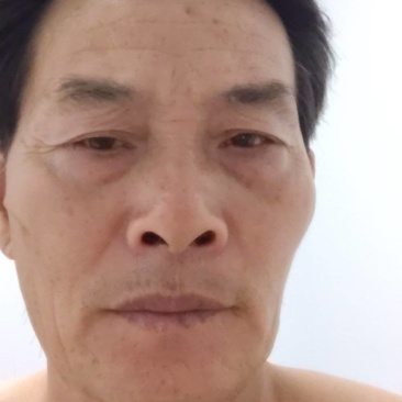晋糯三号红高梁
