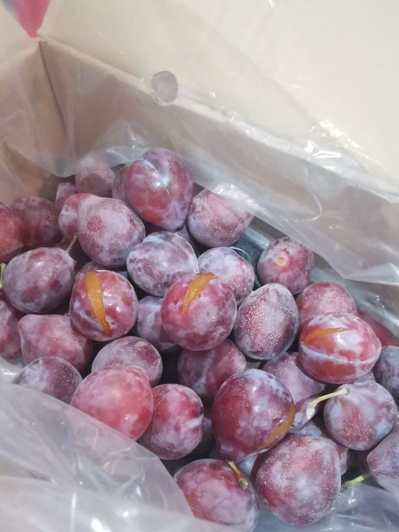 伽师西梅