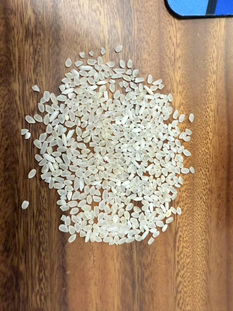 珍珠米，量大，1.75，吉林发货，整火车皮售