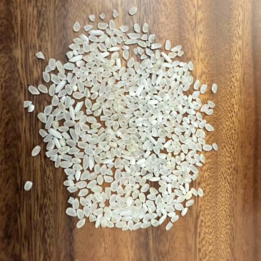 珍珠米，量大，1.75，吉林发货，整火车皮售