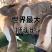 【热卖】特大种狮头鹅苗大品种厂家直销包打疫苗可回收