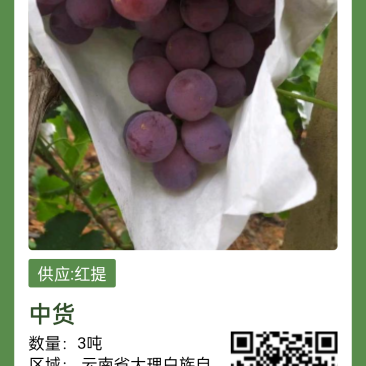 红提