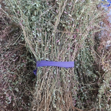 地锦草，2025新货，自然晒干，颜色靓丽，人工挑选杂草。