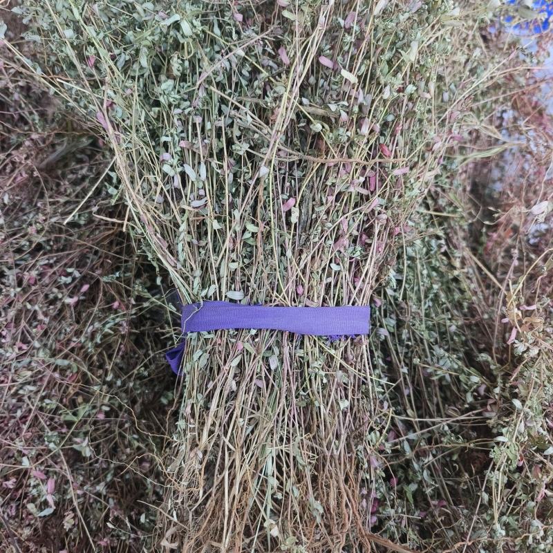 地锦草，2025新货，自然晒干，颜色靓丽，人工挑选杂草。