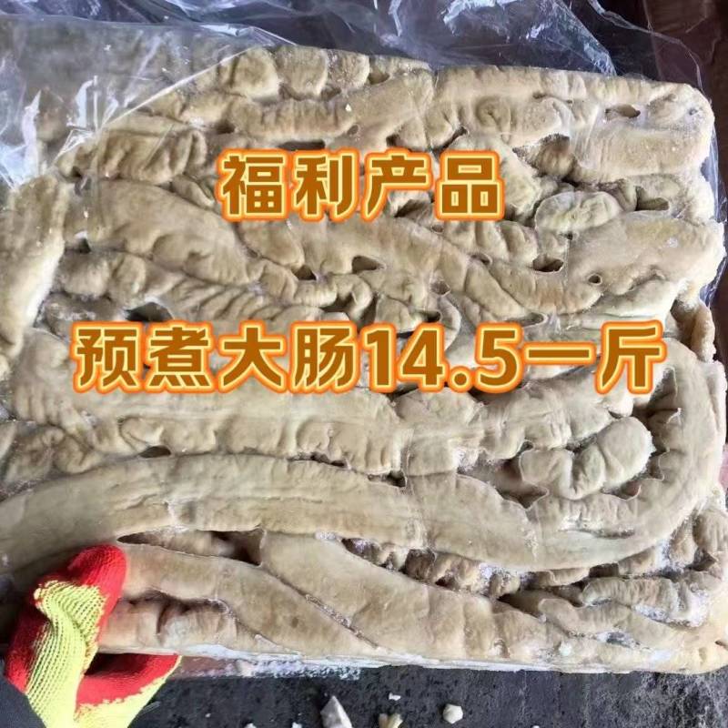 预煮熟大肠，新日期八分熟，解冻可直接用，爆炒，卤煮都可以