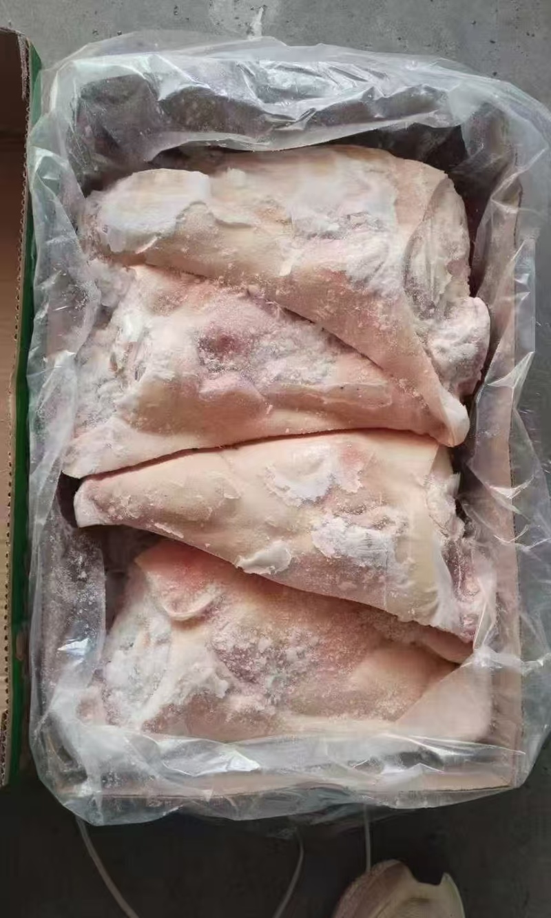生猪头