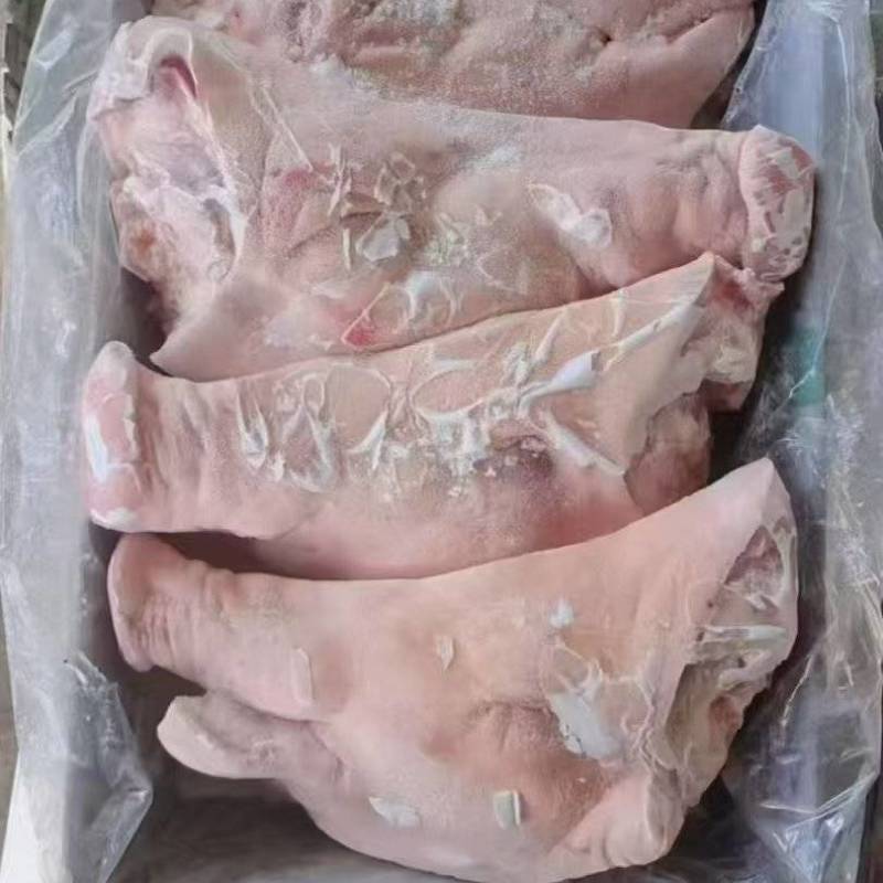生猪头