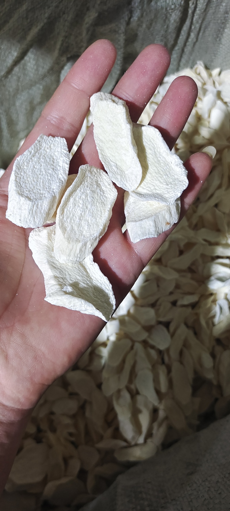 铁棍怀山药片