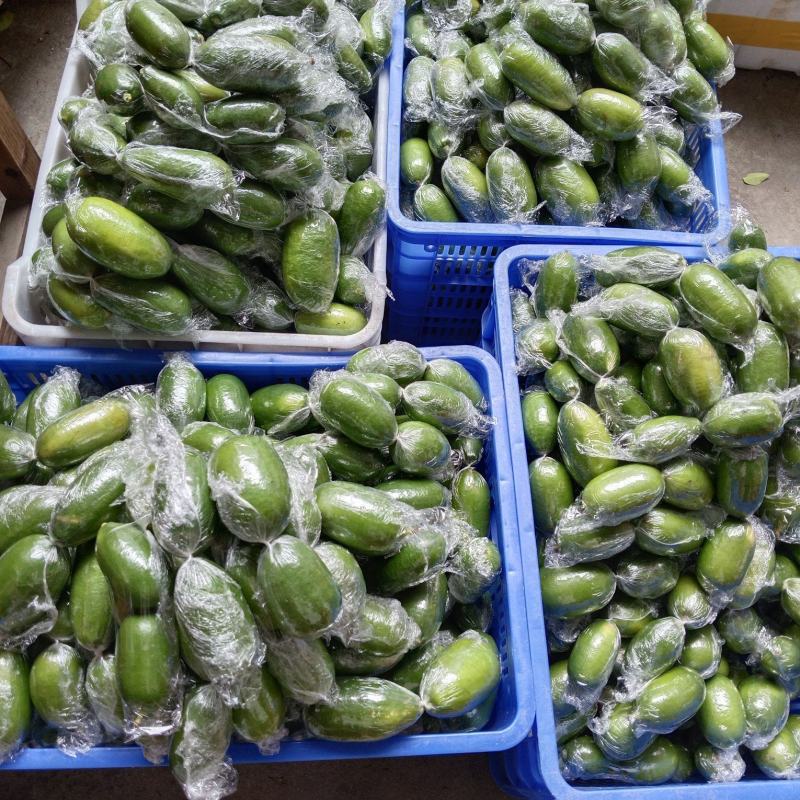 海南香水柠檬台湾子弹头柠檬果园现摘奶茶店专属