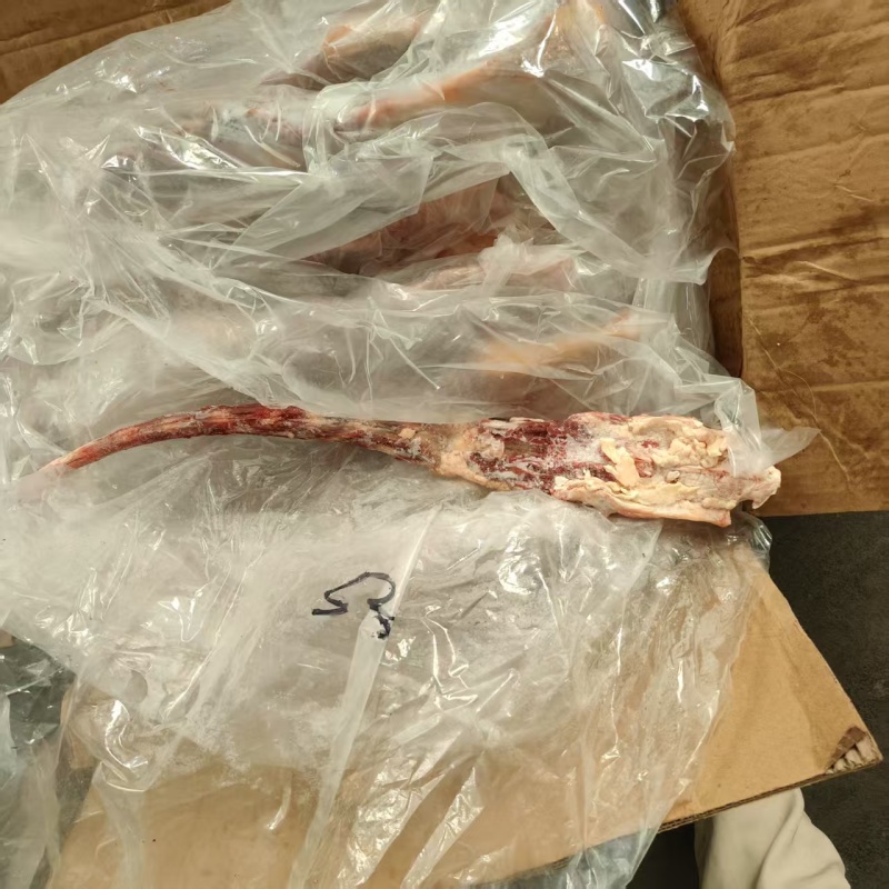 牛尾