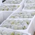 雪花梨云南基地直发百家、园子货均可物美价廉