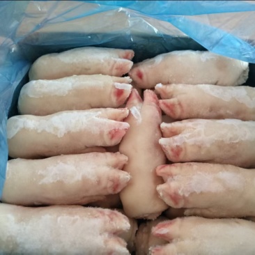 猪蹄