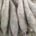 烟薯哈密板栗西瓜红各种品种都有大量有货，生产的货原产地货