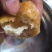 湖南郴州油豆腐泡产地直供全国发货欢迎采购量大从优