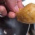 湖南郴州油豆腐泡产地直供全国发货欢迎采购量大从优