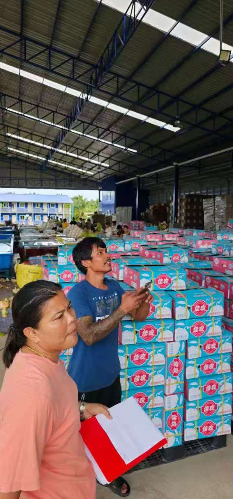 泰国\越南都做，整柜\拼柜\现货都做，需要老板联系，产地直销