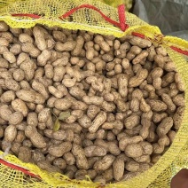 鲜花生一手货源一件代发中通顺丰