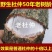 百年老树杜仲皮中药材特级杜仲茶厚皮泡茶煲汤泡酒