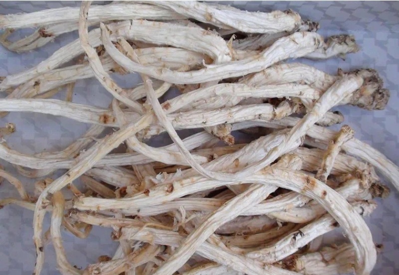 桔梗中药材各种规格物美价廉产地直发欢迎咨询